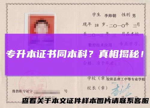 专升本证书同本科？真相揭秘！