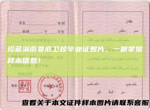 珍藏湖南娄底卫校毕业证照片,一眼掌握样本信息!