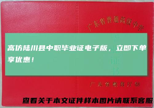 高仿陆川县中职毕业证电子版，立即下单享优惠！