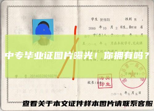 中专毕业证图片曝光!你拥有吗?