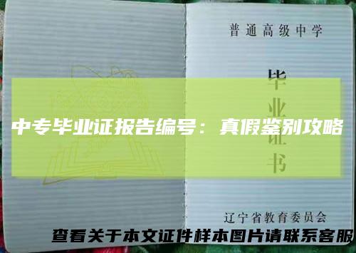 中专毕业证报告编号：真假鉴别攻略