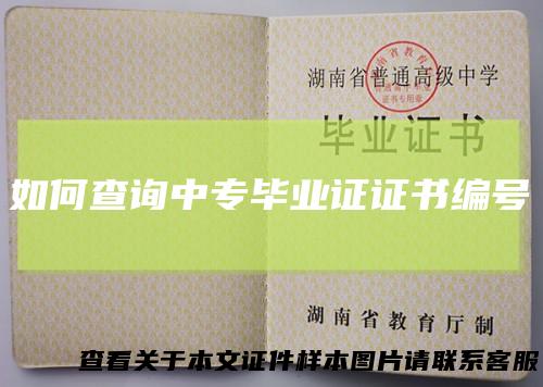 如何查询中专毕业证证书编号