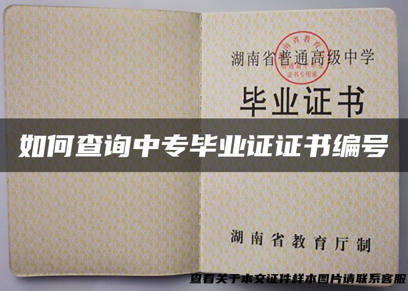 如何查询中专毕业证证书编号