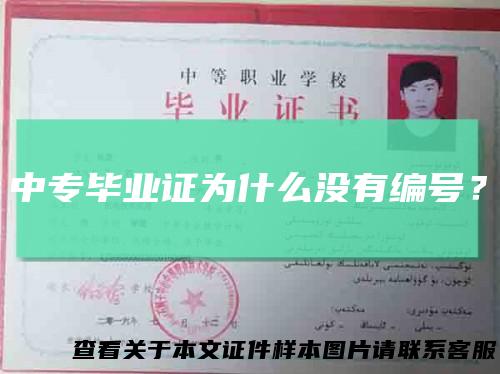 中专毕业证为什么没有编号？