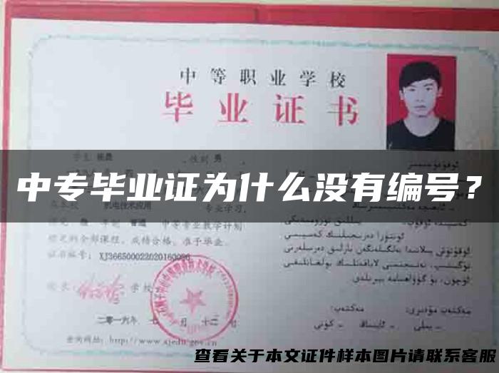中专毕业证为什么没有编号？