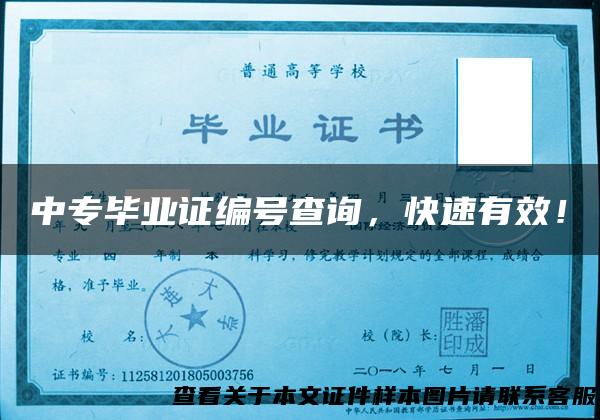 中专毕业证编号查询，快速有效！