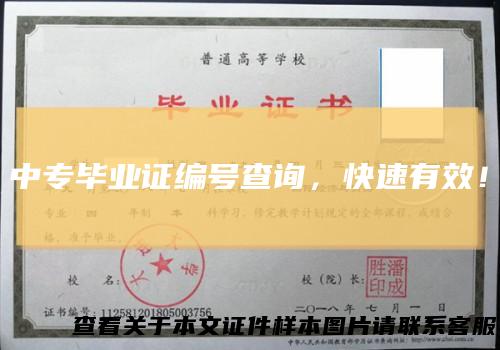 中专毕业证编号查询，快速有效！