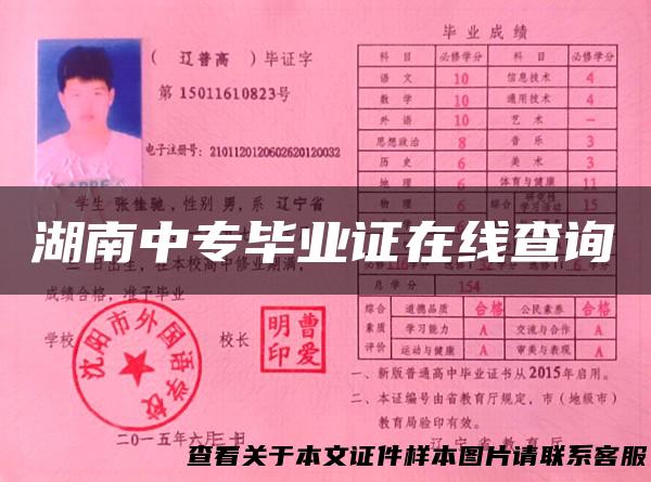 湖南中专毕业证在线查询