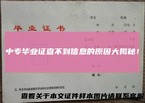 中专毕业证查不到信息的原因大揭秘！