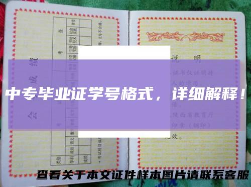 中专毕业证学号格式，详细解释！