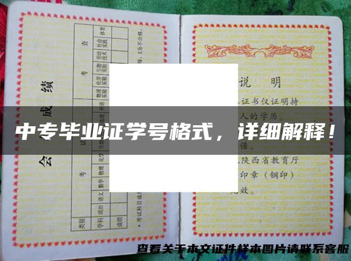中专毕业证学号格式，详细解释！
