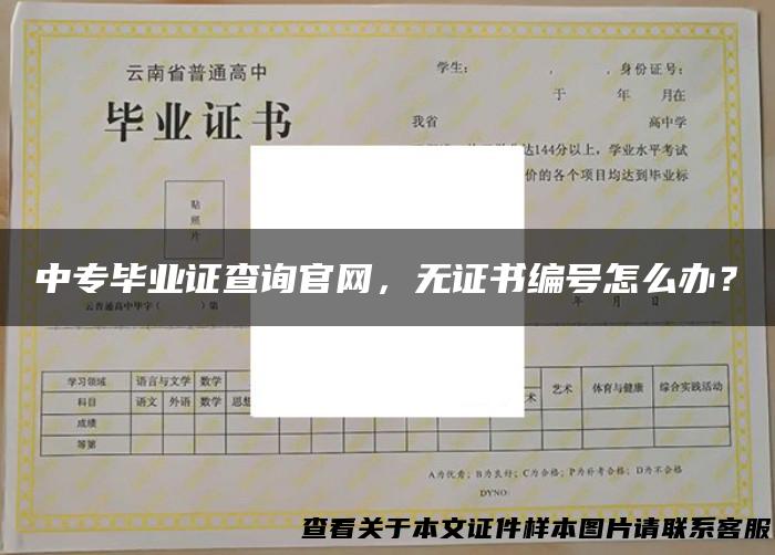 中专毕业证查询官网，无证书编号怎么办？
