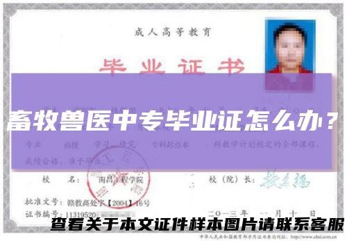 畜牧兽医中专毕业证怎么办？