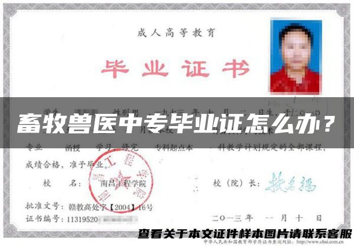 畜牧兽医中专毕业证怎么办？
