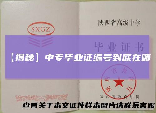 【揭秘】中专毕业证编号到底在哪？