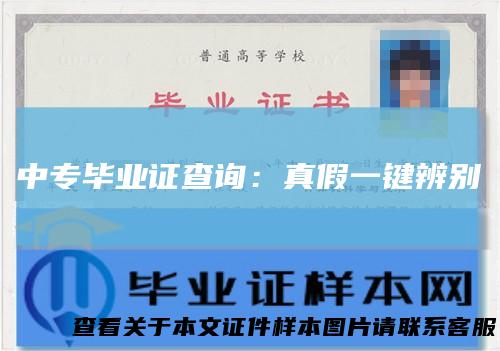 中专毕业证查询：真假一键辨别