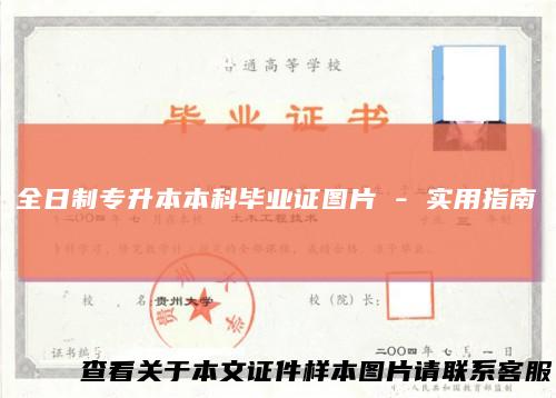 全日制专升本本科毕业证图片-实用指南