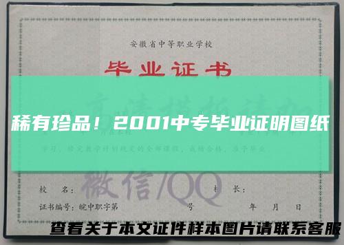 稀有珍品！2001中专毕业证明图纸