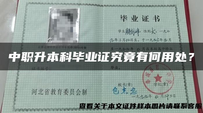 中职升本科毕业证究竟有何用处？