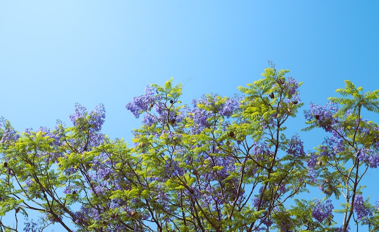 第三方机构认证