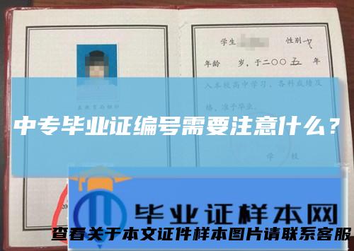 中专毕业证编号需要注意什么？