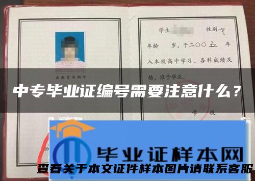 中专毕业证编号需要注意什么？