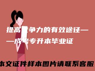 提高竞争力的有效途径——成考专升本毕业证