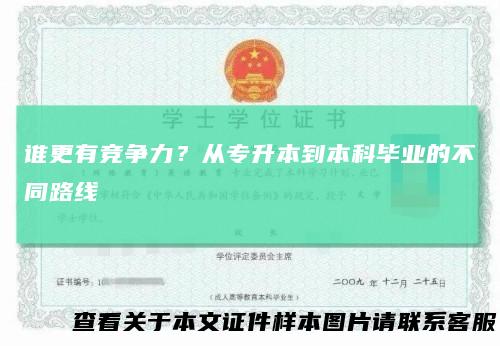 谁更有竞争力？从专升本到本科毕业的不同路线