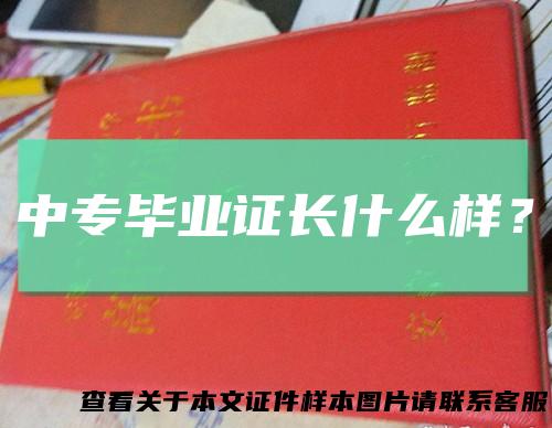中专毕业证长什么样？