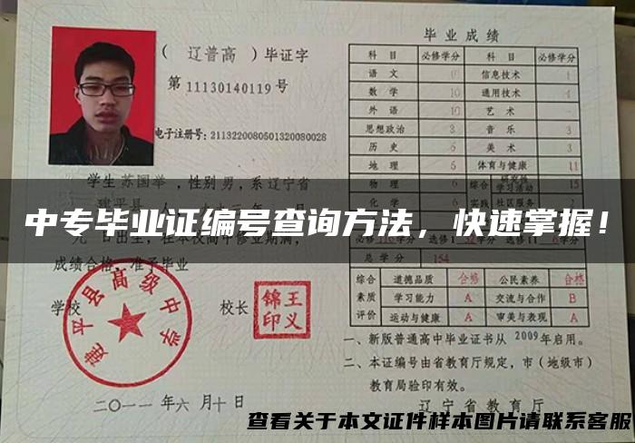 中专毕业证编号查询方法，快速掌握！