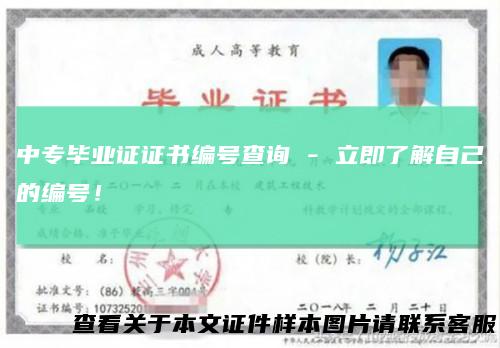 中专毕业证证书编号查询 - 立即了解自己的编号！