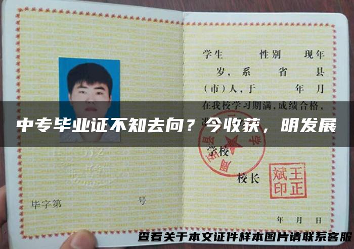 中专毕业证不知去向？今收获，明发展