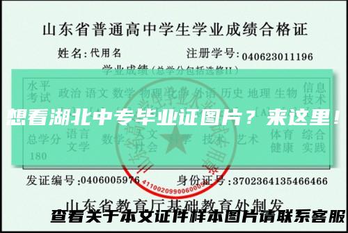 想看湖北中专毕业证图片？来这里！