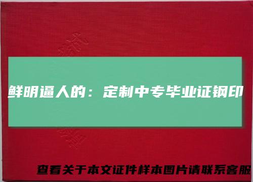 鲜明逼人的：定制中专毕业证钢印