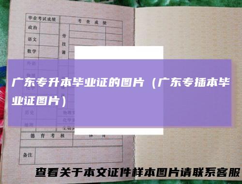 广东专升本毕业证的图片（广东专插本毕业证图片）