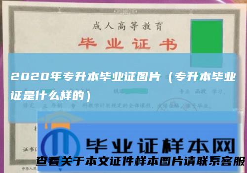2020年专升本毕业证图片（专升本毕业证是什么样的）