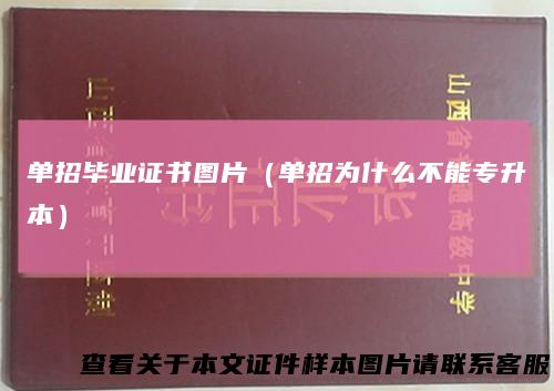 单招毕业证书图片（单招为什么不能专升本）