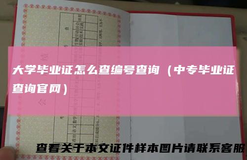 大学毕业证怎么查编号查询(中专毕业证查询官网)