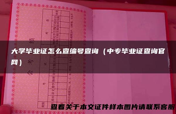 大学毕业证怎么查编号查询（中专毕业证查询官网）