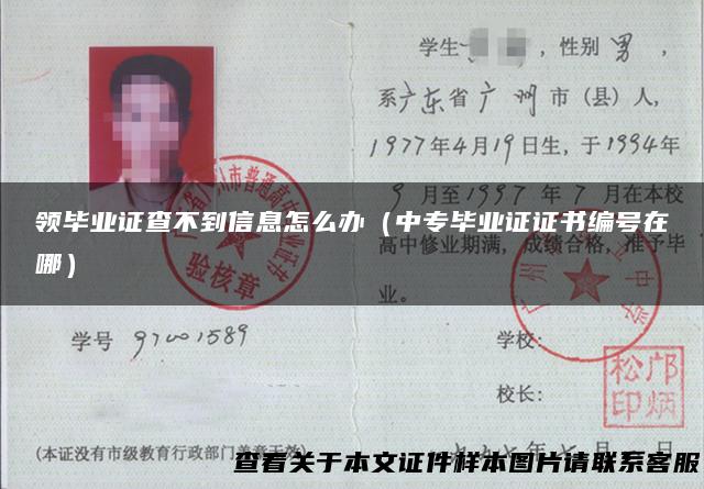 领毕业证查不到信息怎么办（中专毕业证证书编号在哪）