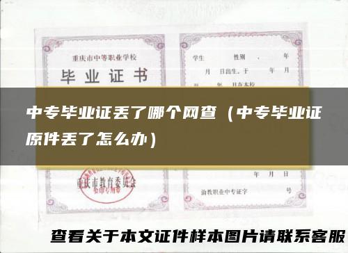 中专毕业证丢了哪个网查（中专毕业证原件丢了怎么办）