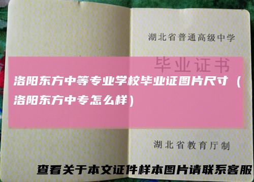 洛阳东方中等专业学校毕业证图片尺寸（洛阳东方中专怎么样）