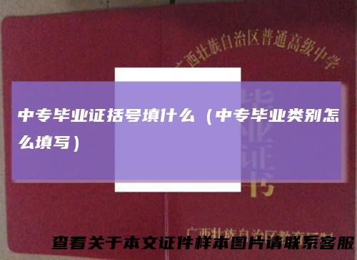 中专毕业证括号填什么（中专毕业类别怎么填写）