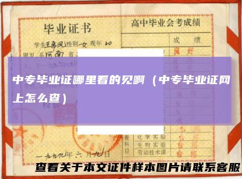 中专毕业证哪里看的见啊（中专毕业证网上怎么查）
