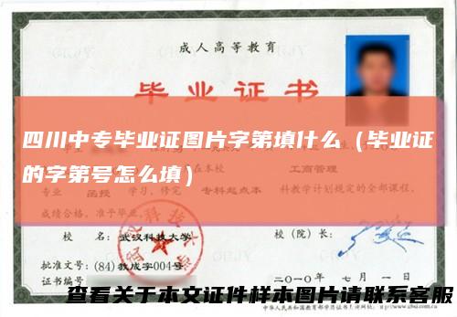 四川中专毕业证图片字第填什么(毕业证的字第号怎么填)