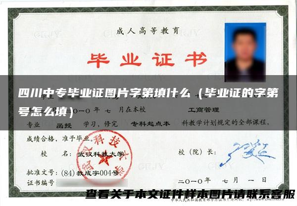 四川中专毕业证图片字第填什么（毕业证的字第号怎么填）