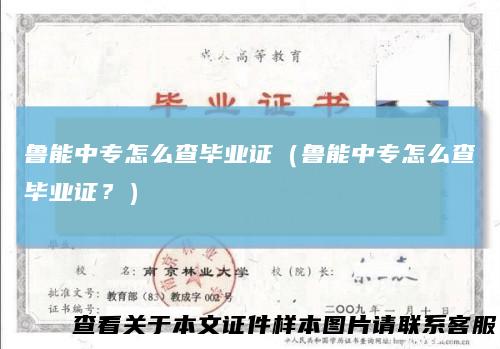 鲁能中专怎么查毕业证（鲁能中专怎么查毕业证？）