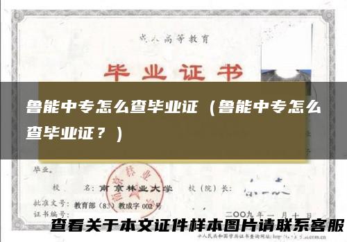 鲁能中专怎么查毕业证（鲁能中专怎么查毕业证？）