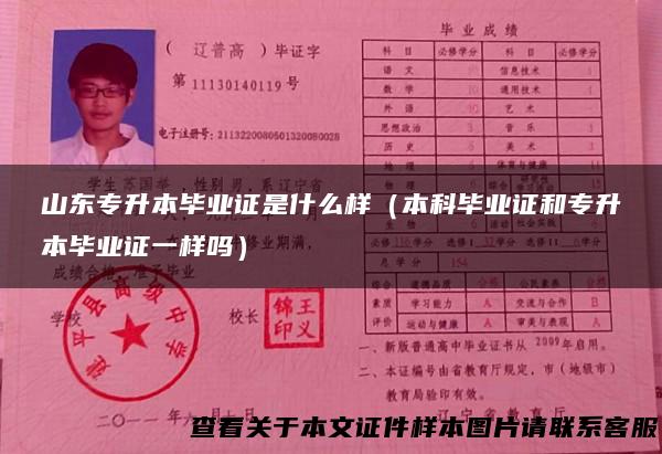 山东专升本毕业证是什么样（本科毕业证和专升本毕业证一样吗）
