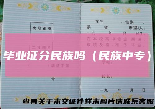 毕业证分民族吗（民族中专）